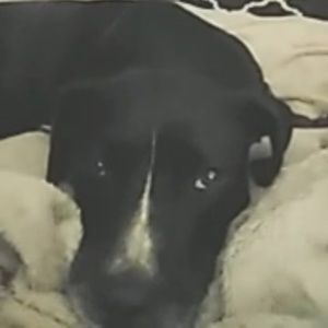 Meet your Posher, Jaylynn